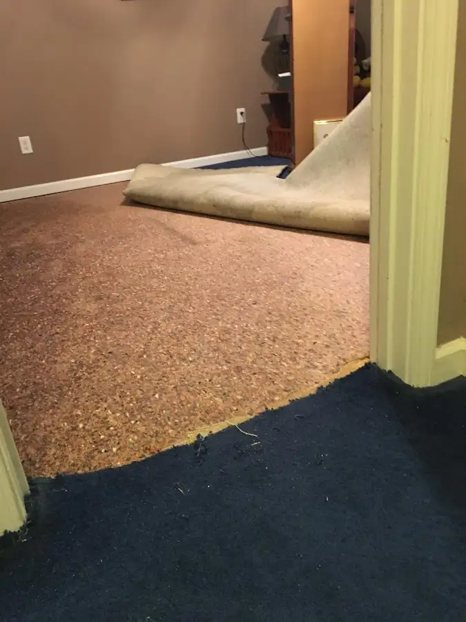 Carpet pad removal revealing water damage during Drying & Dehumidification in Myrtle Grove
