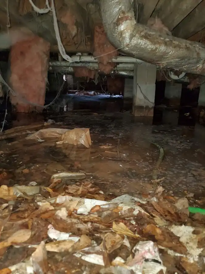 Crawl space flood assessment for Leak Detection & Repair in Myrtle Grove